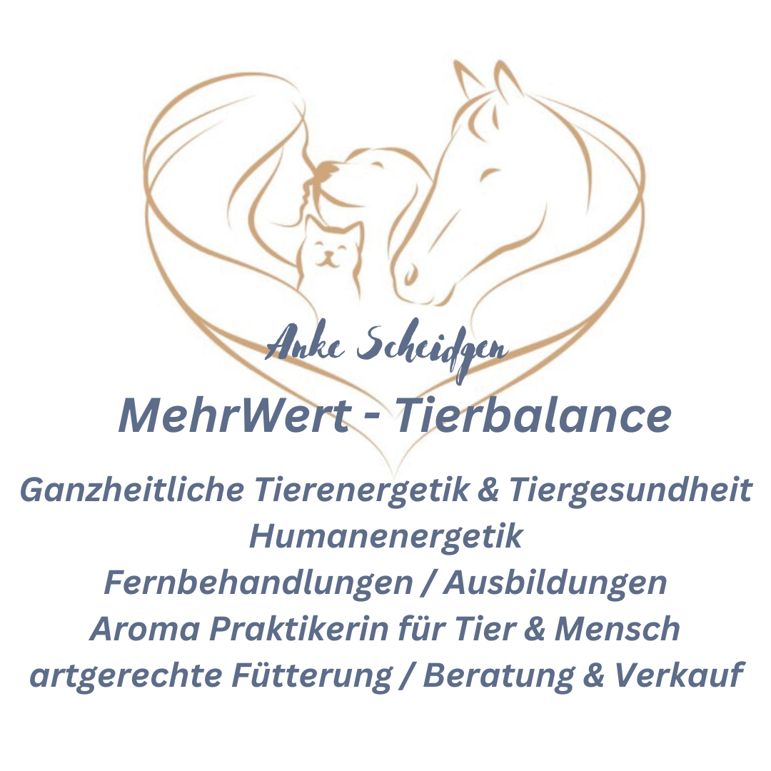 Entfalte deine Fähigkeiten – Expertenkurse für Tierkommunikation & natürliche Heilmethoden